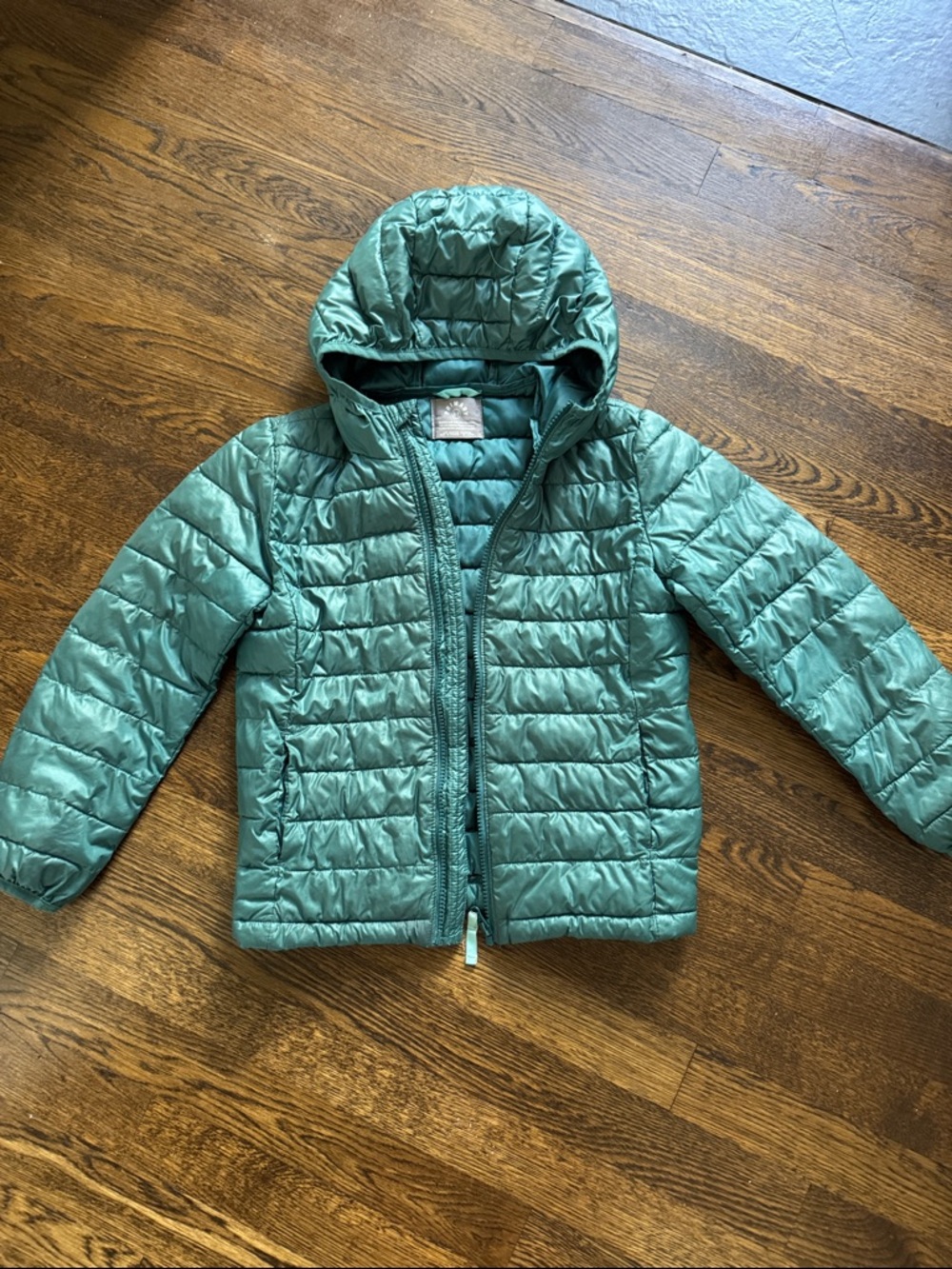 Primary Teal Hooded Puffer Jacket for Kids